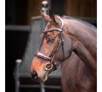 Shires Lusso Elite Padded Cavesson Bridle for Horses Black - Cob
