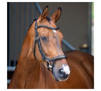 Velociti Lusso Ergonomic Curved Flash Bridle - Full · Black