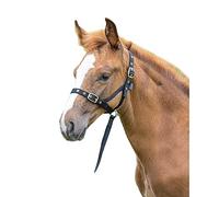 ARMA Foal Slip - Black