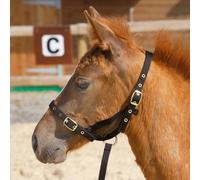 Shires Nylon Foal Slip - Black - Size: Foal