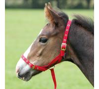 Shires Nylon Foal Slip - Red - Size: Foal