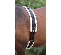 Shires Nylon Lunge Roller With Fleece Padding in Black EXTRA Fulll, Black
