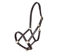 Shires Ragley Lined Leather Headcollar: Black: Extra Full