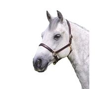 Shires Ragley Lined Leather Headcollar: Havana: Extra Full