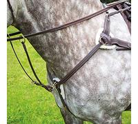 Shires Salisbury 5 Point Breastplate-Australian Nut/Brass Cob