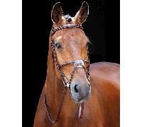 Shires Salisbury Brackley Grackle Bridle - Horse Bridles - Brown - Size: Extra Full