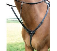 Shires Salisbury Fairford Bridle Black - Cob