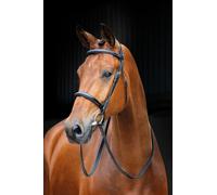 Shires Salisbury Fairford Bridle Black - Small Pony