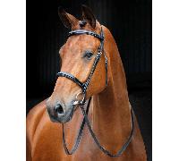 Shires Salisbury Fairford Bridle - Horse Bridles - Black - Size: Extra Full