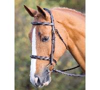 Shires Salisbury Fairford Bridle - Horse Bridles - Brown - Size: Extra Full