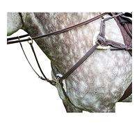 Shires Salisbury Five Point Breastplate: Havana: Full
