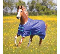 Shires Tempest Original 100g Standard Turnout Rug - 4'3 · Navy