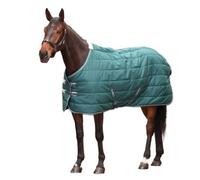Shires Tempest Original 200 Standard-Neck Horse Stable Rug Emerald (6 9")