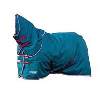 Shires Tempest Original 200g Rug & Neck Set - Outdoor Mediumweight Horse Blanket - Green - Size: 4ft 6inch