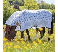 Shires Tempest Original Dandielion Fly Combo - 6'9"