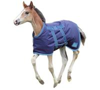 Shires Tempest Original Foal Turnout Rug Navy/turquoise (3 6")