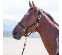 Shires Topaz Nylon Headcollar - Black - Size: Foal