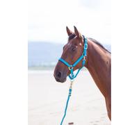 Shires Topaz Nylon Headcollar - Blue Extra Full