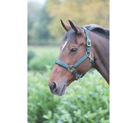 Shires Topaz Nylon Headcollar - Dark Green Extra Full