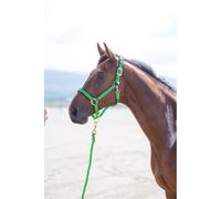 Shires Topaz Nylon Headcollar - Extra Full · Green