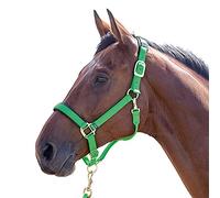 Shires Topaz Nylon Headcollar-Green S Pony