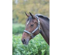 Shires Topaz Nylon Headcollar - Grey Extra Extra Small Pony