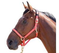 Shires Topaz Nylon Headcollar-Orange Cob