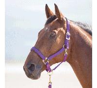 Shires Topaz Nylon Headcollar - Purple - Size: Extra Full