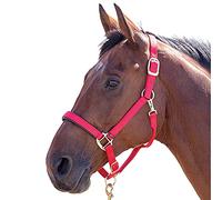 Shires Topaz Nylon Headcollar-Red Full
