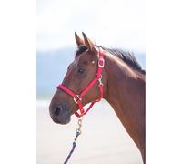 Shires Topaz Nylon Headcollar-Red Pony