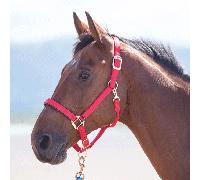 Shires Topaz Nylon Headcollar - Red - Size: Extra Full
