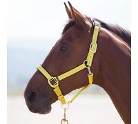 Shires Topaz Nylon Headcollar - XS Pony · Yellow