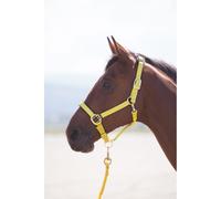 Shires Topaz Nylon Headcollar-Yellow Full
