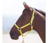 Shires Topaz Nylon Headcollar - Yellow - Size: Full