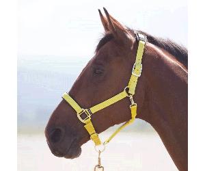 Shires Topaz Nylon Headcollar - Yellow - Size: Pony