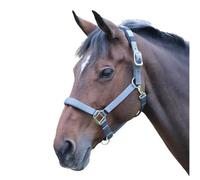 Shires Topaz Nylon Horse Headcollar Grey (Pony)
