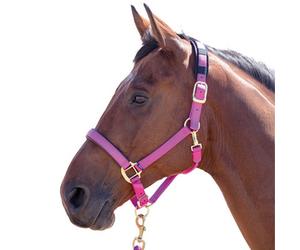 Shires Topaz Nylon Horse Headcollar Raspberry (Pony)