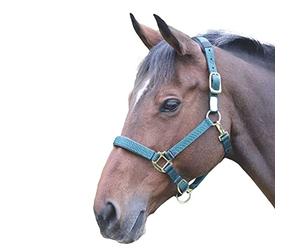 Shires Topaz Nylon Horse Headcollar (Small Pony) (Dark Green)