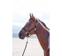 Shires Topaz Nylon Pony/Horse Headcollar - Black Pony