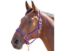 Shires Topaz Nylon Pony/Horse Headcollar - Purple Pony