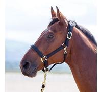 Shires Topaz Padded Headcollar - Black - Size: Small Pony