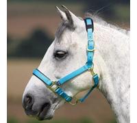 Shires Topaz Padded Headcollar - Blue - Size: Cob