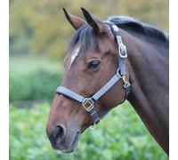 Shires Topaz Padded Headcollar - Grey - Size: Cob
