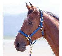 Shires Topaz Padded Headcollar - Navy - Size: Extra Full