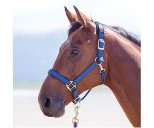 Shires Topaz Padded Headcollar - Navy - Size: Pony