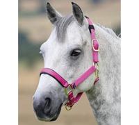 Shires Topaz Padded Headcollar - Pink - Size: Pony
