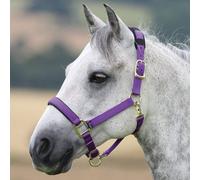 Shires Topaz Padded Headcollar - Purple - Size: Cob