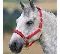 Shires Topaz Padded Headcollar - Red - Size: Small Pony