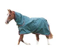 Shires Typhoon Lite Combo Neck Horse Combo Turnout Rug - Green - Green - 51in
