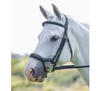 Shires RAPIDA Ergonomic Flash Bridle in Black, Size Cob, Leather | Charlies